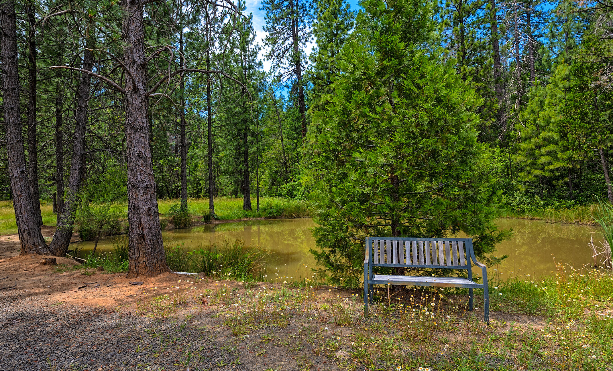 29230 Fenders Ferry Road Bella Vista, CA 96008 - Photo 58 of 60 a view of a chair in a backyard
