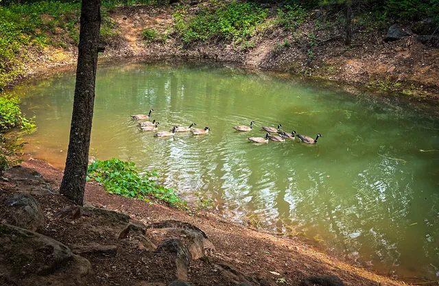 $799,000 | 29230 Fenders Ferry Road, Bella Vista, CA 96008