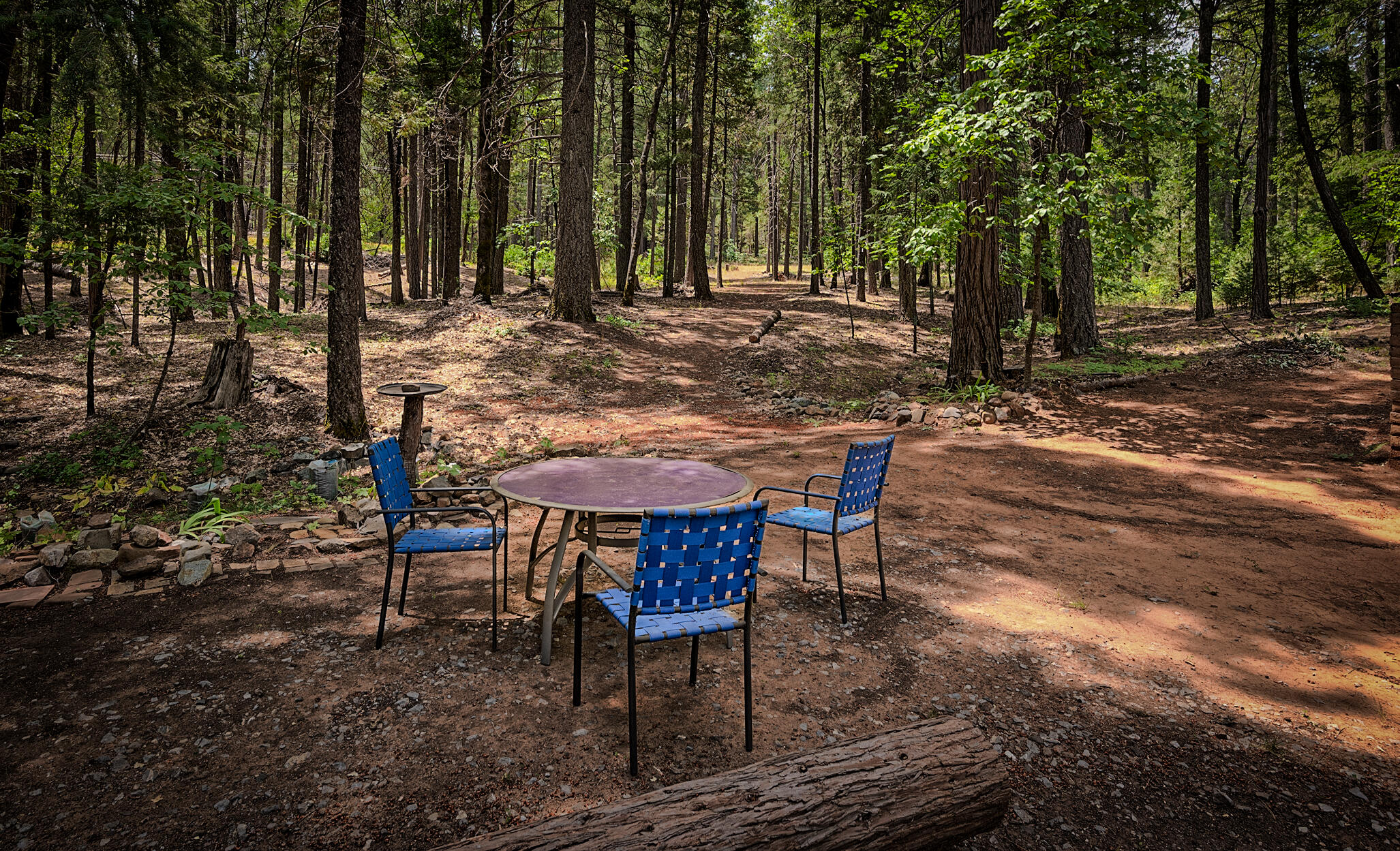 29230 Fenders Ferry Road Bella Vista, CA 96008 - Photo 6 of 60 a view of a chairs and table in backyard