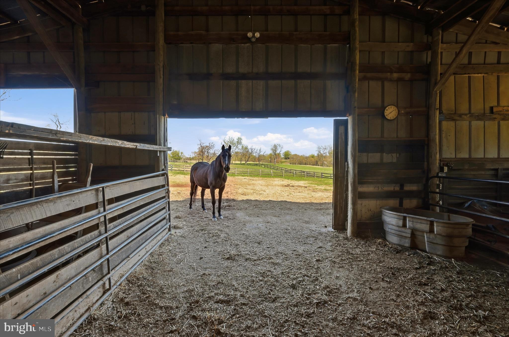 2517 5 Points Road Marshall, VA 20115 - Photo 106 of 145 Barn