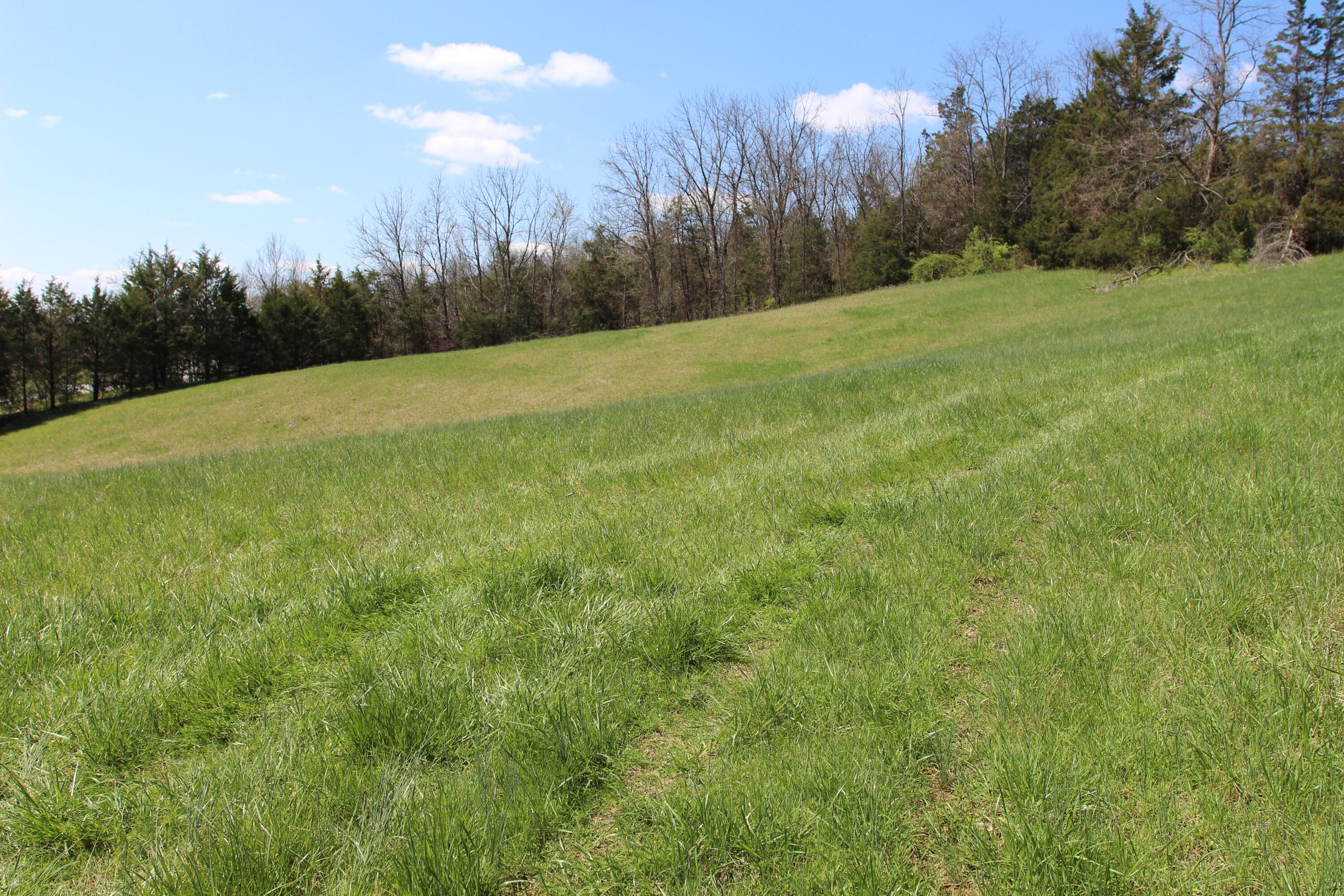 127 Owenton Road Owenton, KY 40359 - Photo 21 of 33 1- land owen county (20)