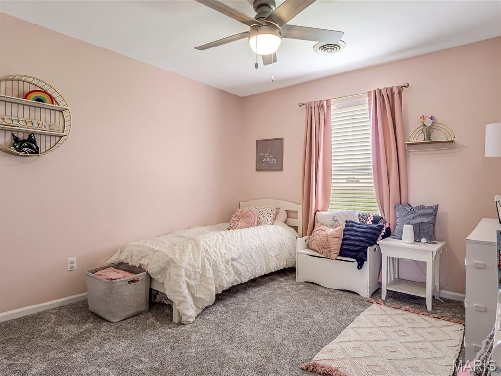 1304 Fieldstone Drive Waterloo, IL 62298 - Photo 14 of 23