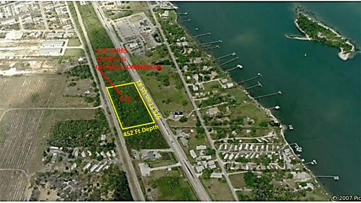 a picture of a plant