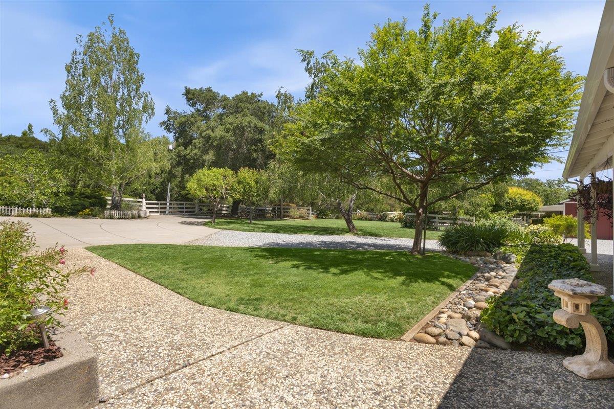 8085 Solis Rancho Drive Gilroy, CA 95020 - Photo 22 of 26 a view of a garden