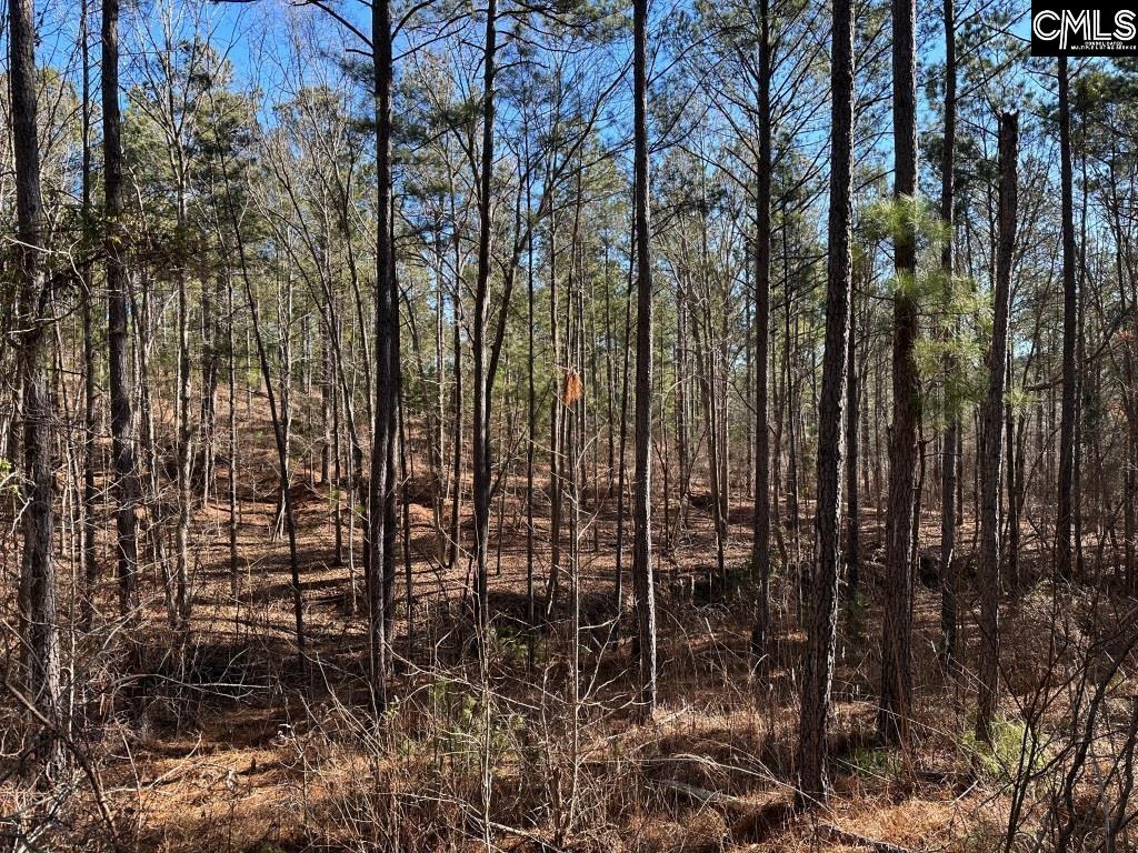 River Road Winnsboro, SC 29180 - Photo 3 of 20