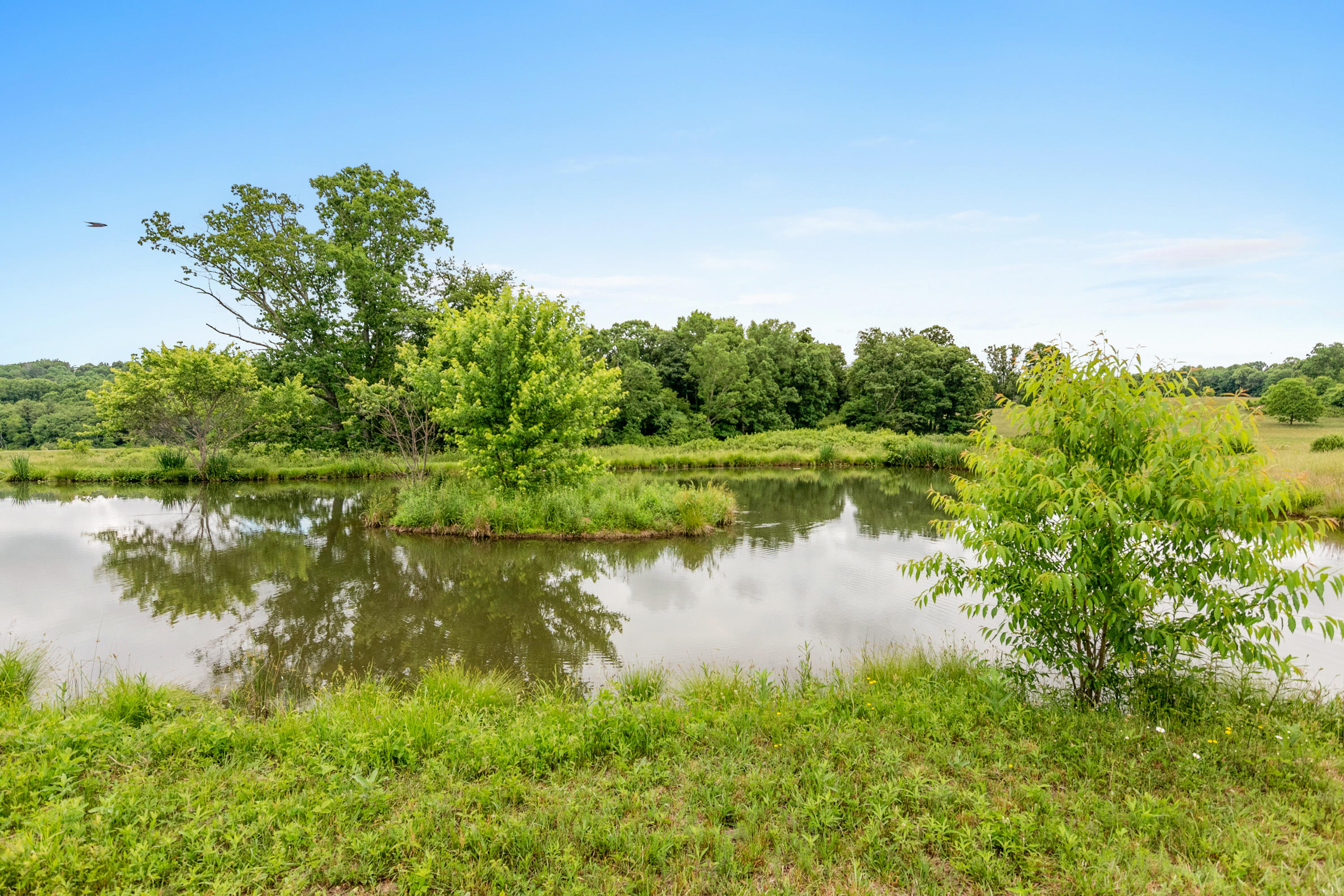 223 Conner Grove Road Southwest Willis, VA 24380 - Photo 3 of 74 a view of a lake with a yard and large trees