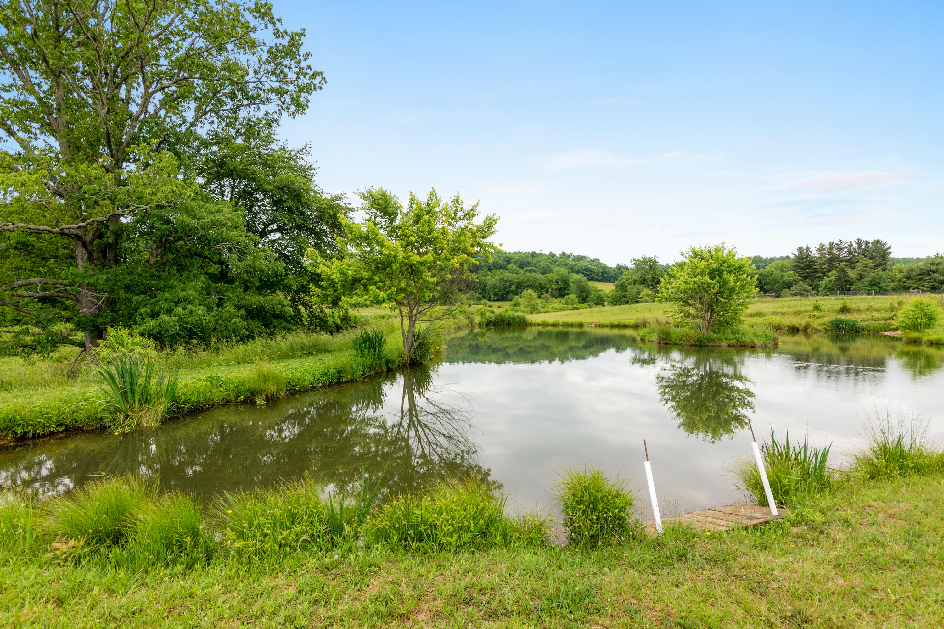 223 Conner Grove Road Southwest Willis, VA 24380 - Photo 67 of 74 a view of a lake with a yard and large trees