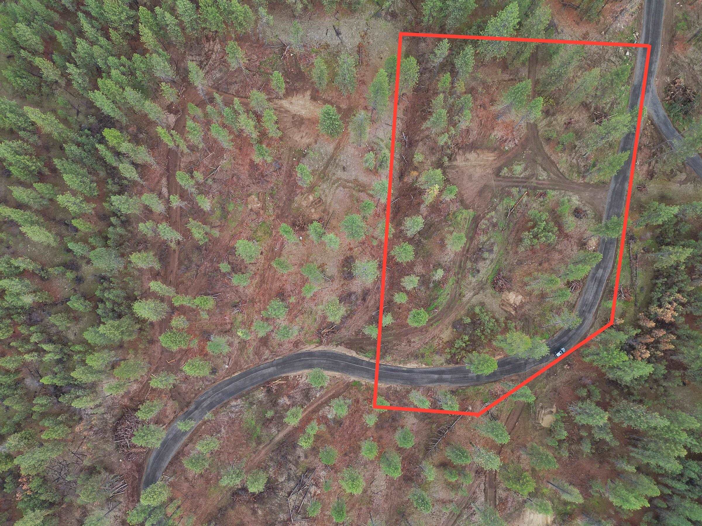Nka Weaver Road, Unit LOT 4 OF LOT 5 Nine Mile Falls, WA 99026 - Photo 3 of 12