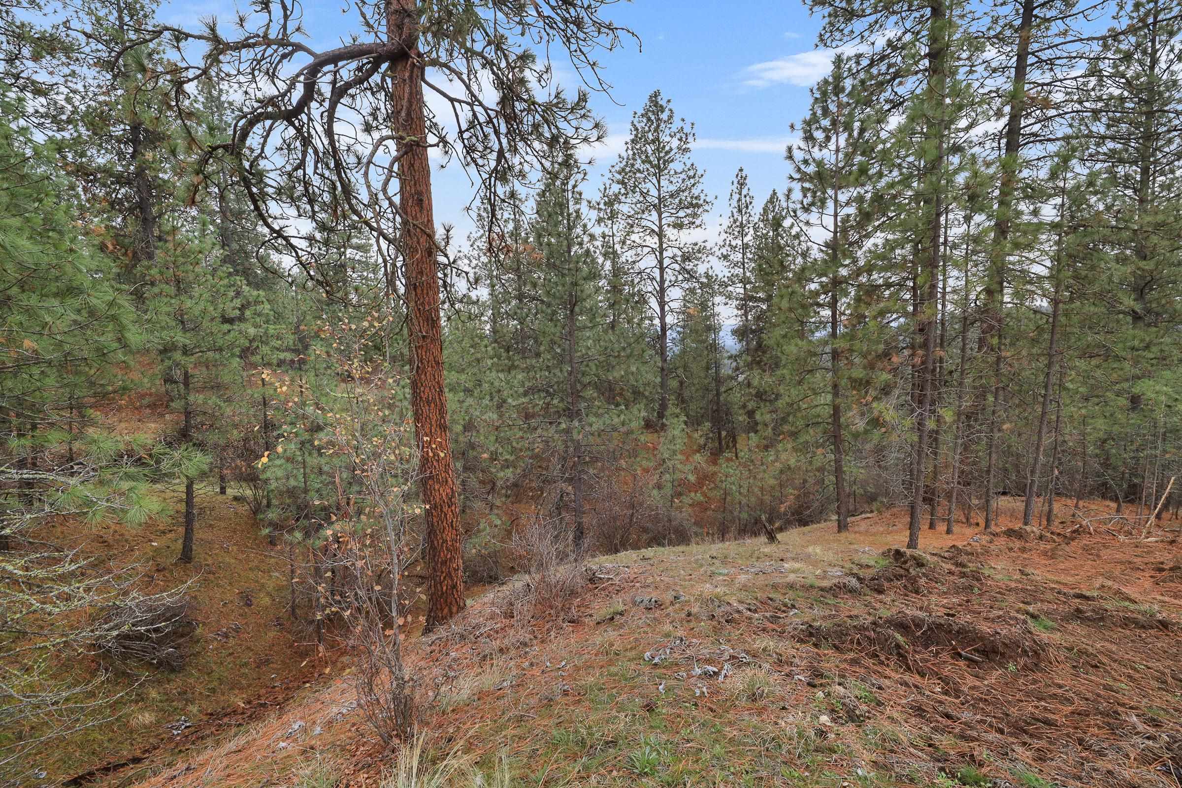 Nka Weaver Road, Unit LOT 4 OF LOT 5 Nine Mile Falls, WA 99026 - Photo 6 of 12