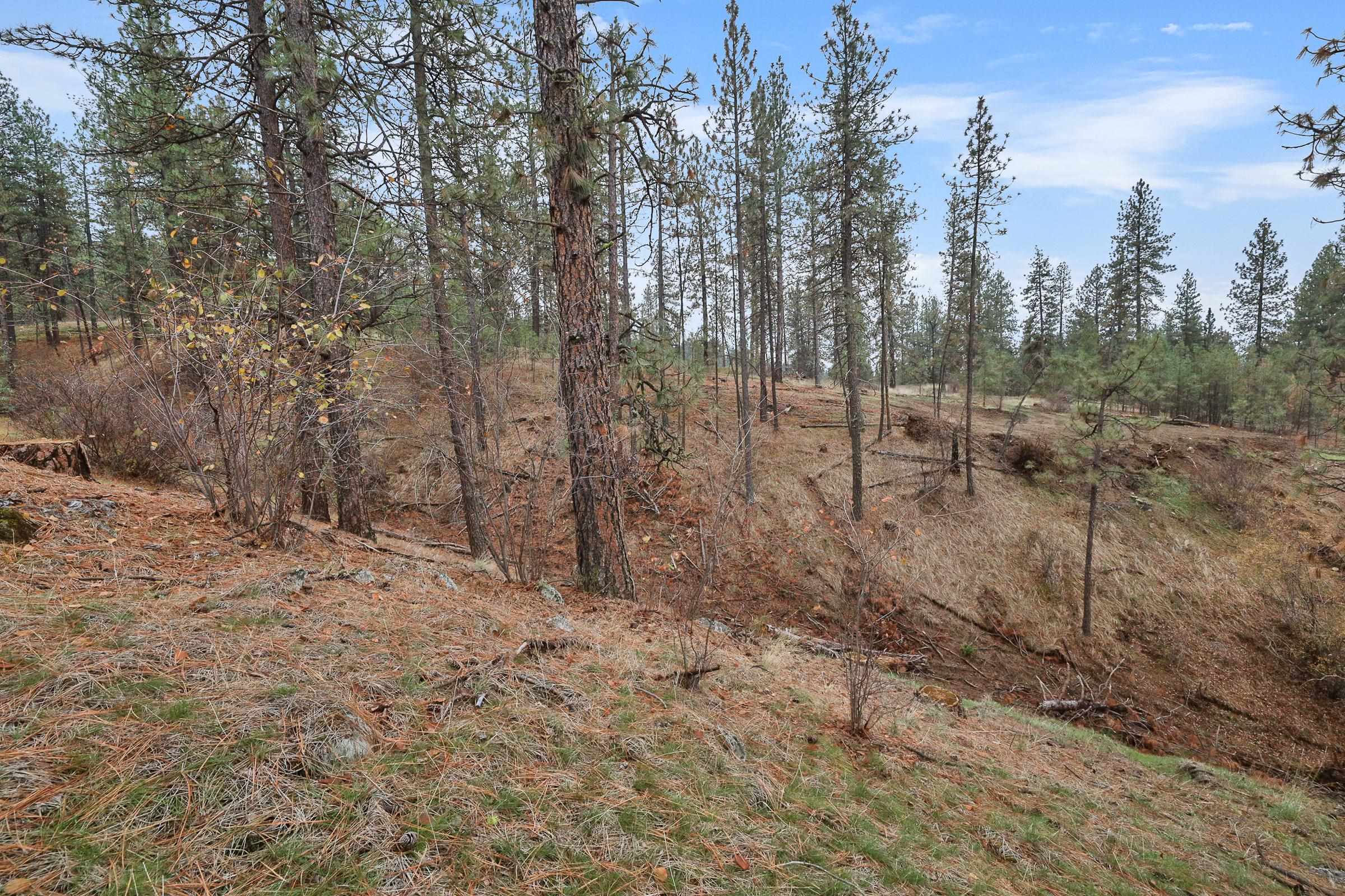 Nka Weaver Road, Unit LOT 4 OF LOT 5 Nine Mile Falls, WA 99026 - Photo 7 of 12