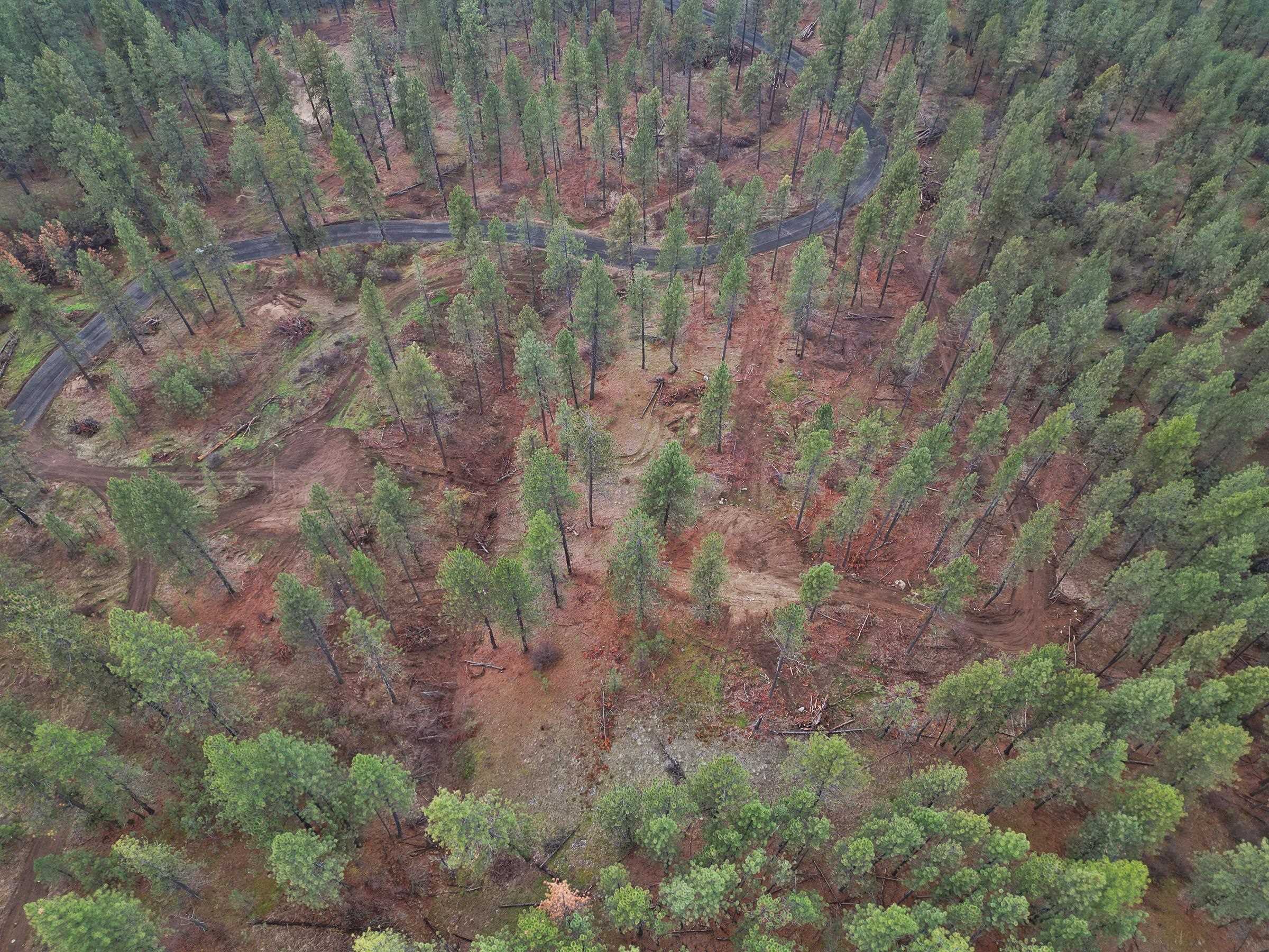 Nka Weaver Road, Unit LOT 4 OF LOT 5 Nine Mile Falls, WA 99026 - Photo 10 of 12