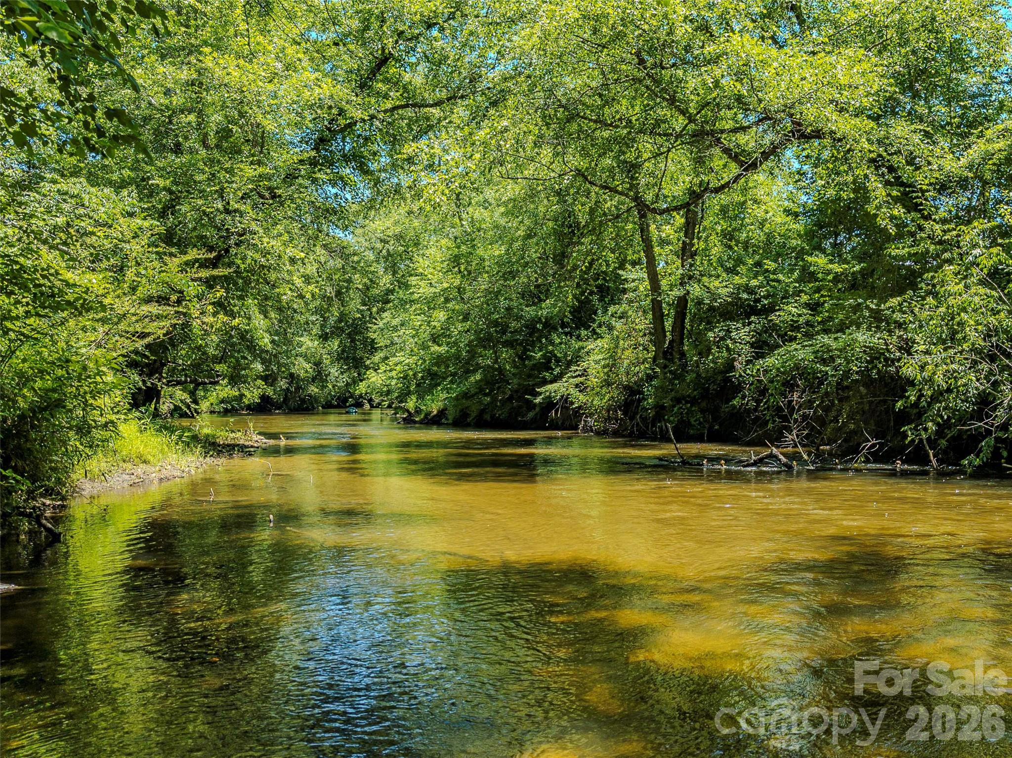 Tbd Canebrake Road Pisgah Forest, NC 28768 - Photo 15 of 43