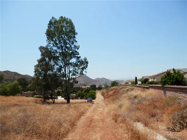a view of a dry yard with trees