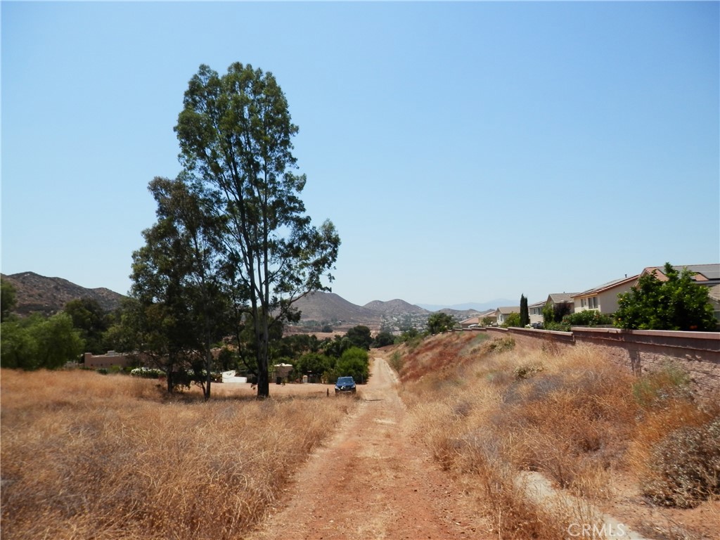a view of a dry yard with trees