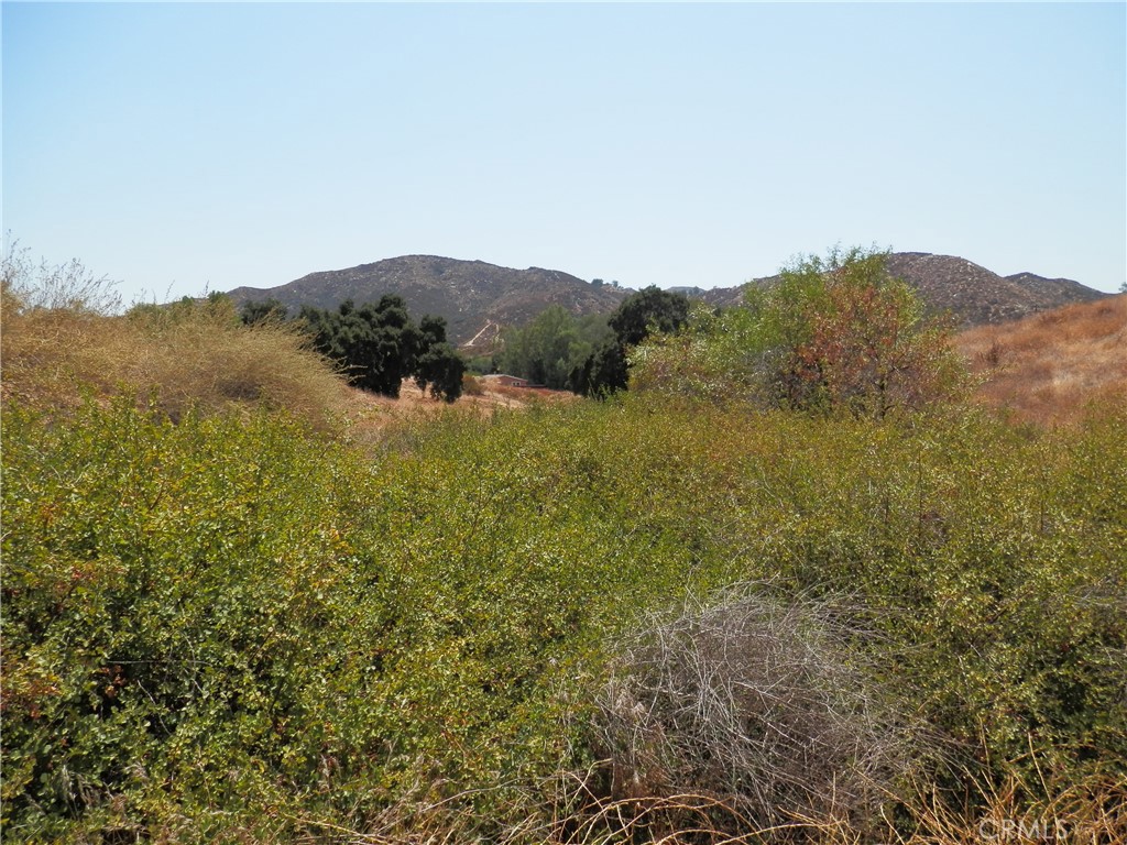 B Hemlock Street Wildomar, CA 92584 - Photo 11 of 17 a view of mountain and a forest