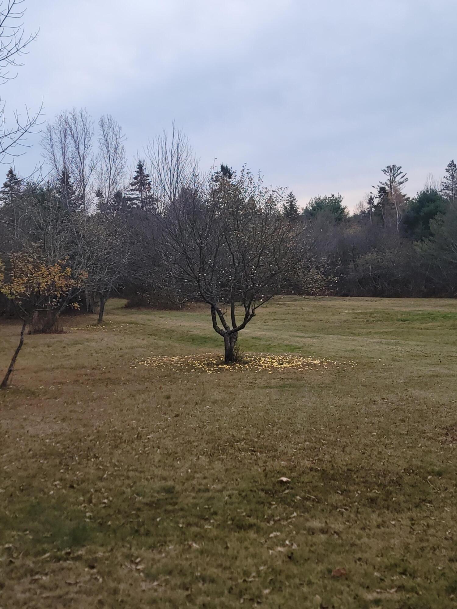 130 Shipyard Road Dennysville, ME 04628 - Photo 31 of 33