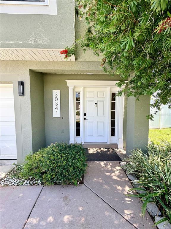 30341 Pongo Way Wesley Chapel, FL 33545 - Photo 3 of 30