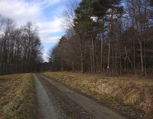 367 Hudson Road Creekside, PA 15732 - Photo 8 of 12 Land. Road entering property
