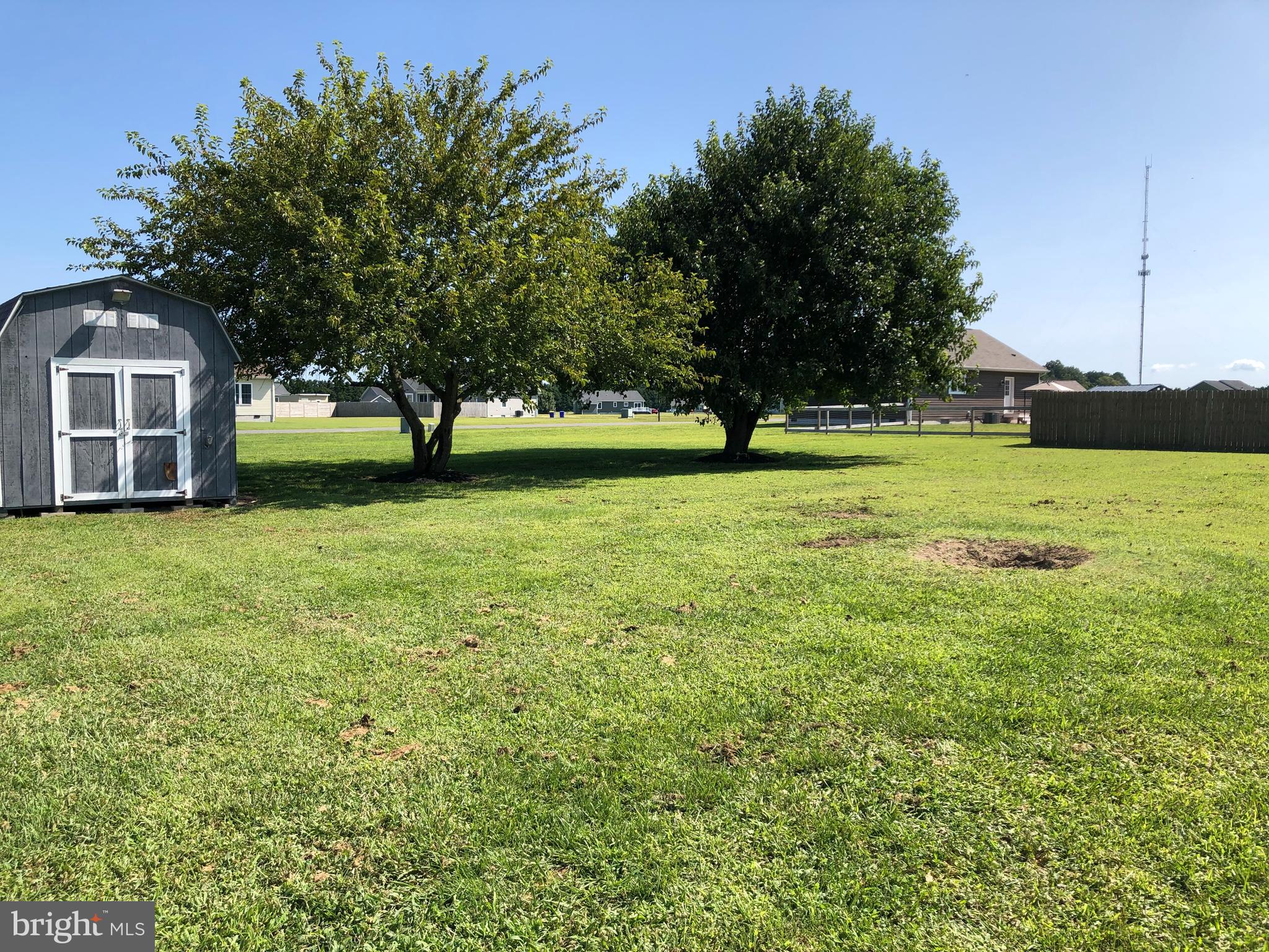 10781 Rifle Range Road Bridgeville, DE 19933 - Photo 19 of 19 Open back yard