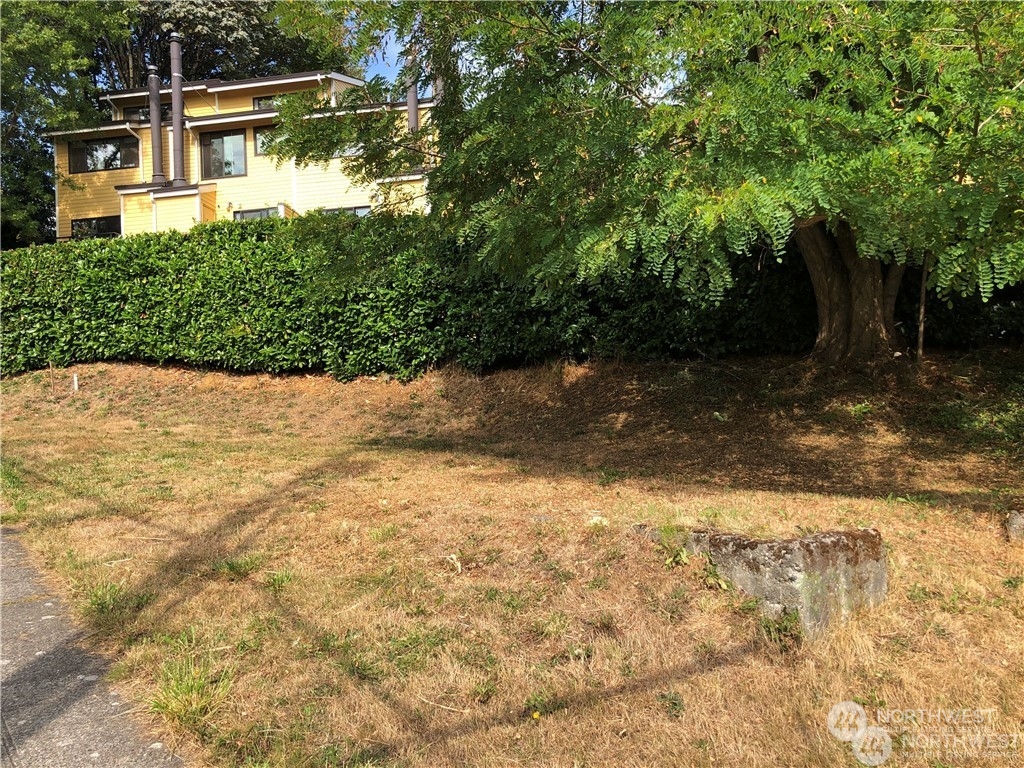2602 East Thomas Street Seattle, WA 98112 - Photo 2 of 10 a view of backyard with green space