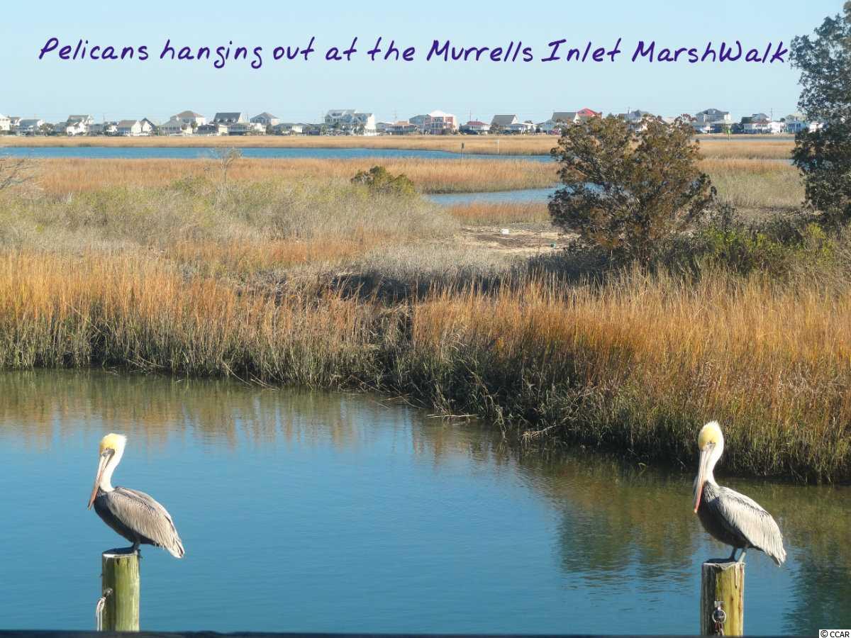 334 Goddard Lane Murrells Inlet, SC 29576 - Photo 22 of 24 Gallery Image 22