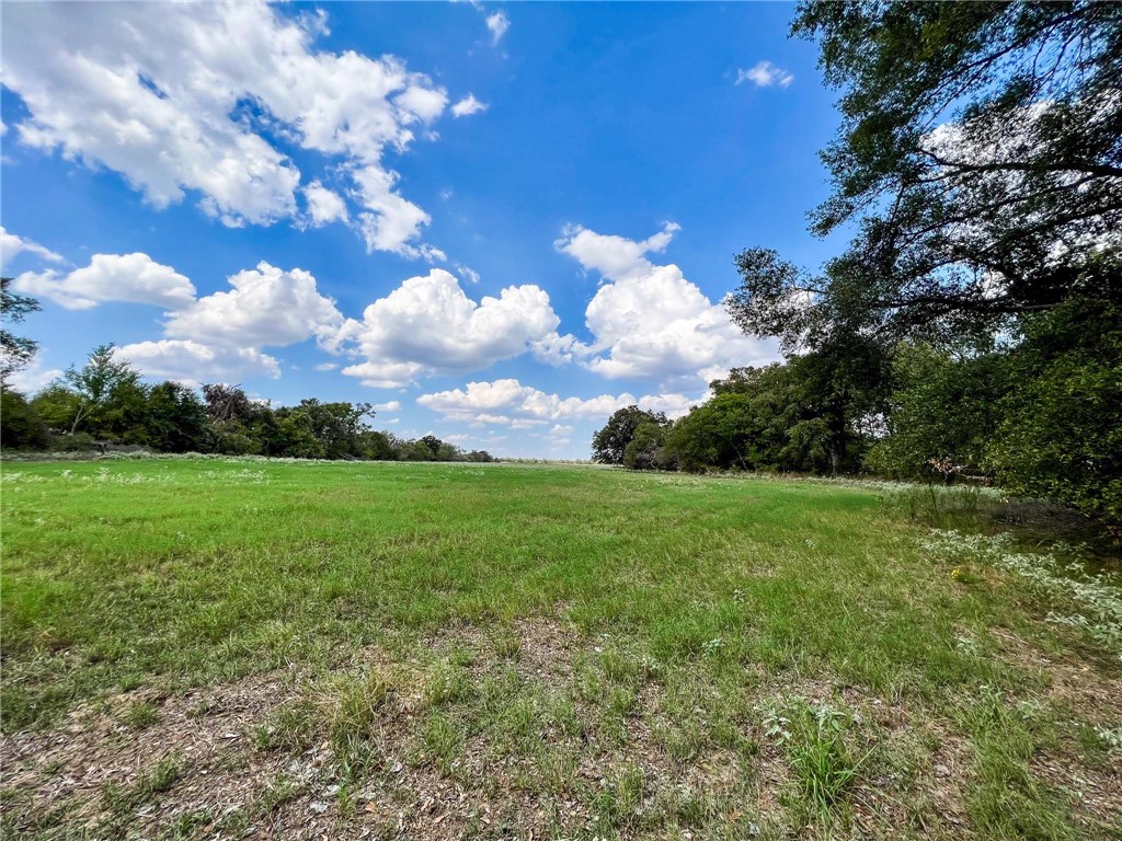 8 Fm 2745 Road Kosse, TX 76653 - Photo 14 of 36 a view of a big yard with lots of green space