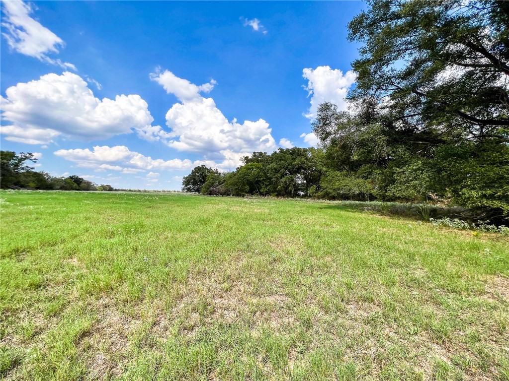 8 Fm 2745 Road Kosse, TX 76653 - Photo 15 of 36 a view of a yard with a house in the background