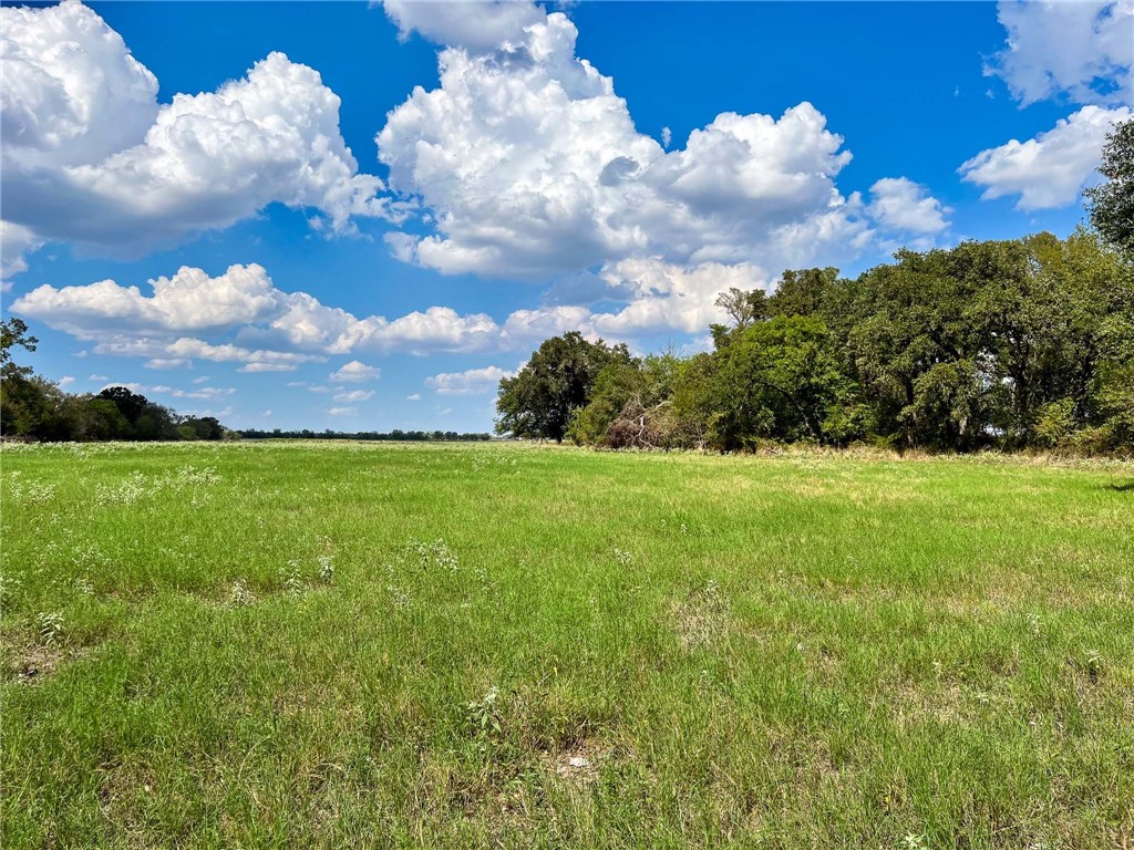 8 Fm 2745 Road Kosse, TX 76653 - Photo 18 of 36 a view of a big yard with flower plants and wooden fence