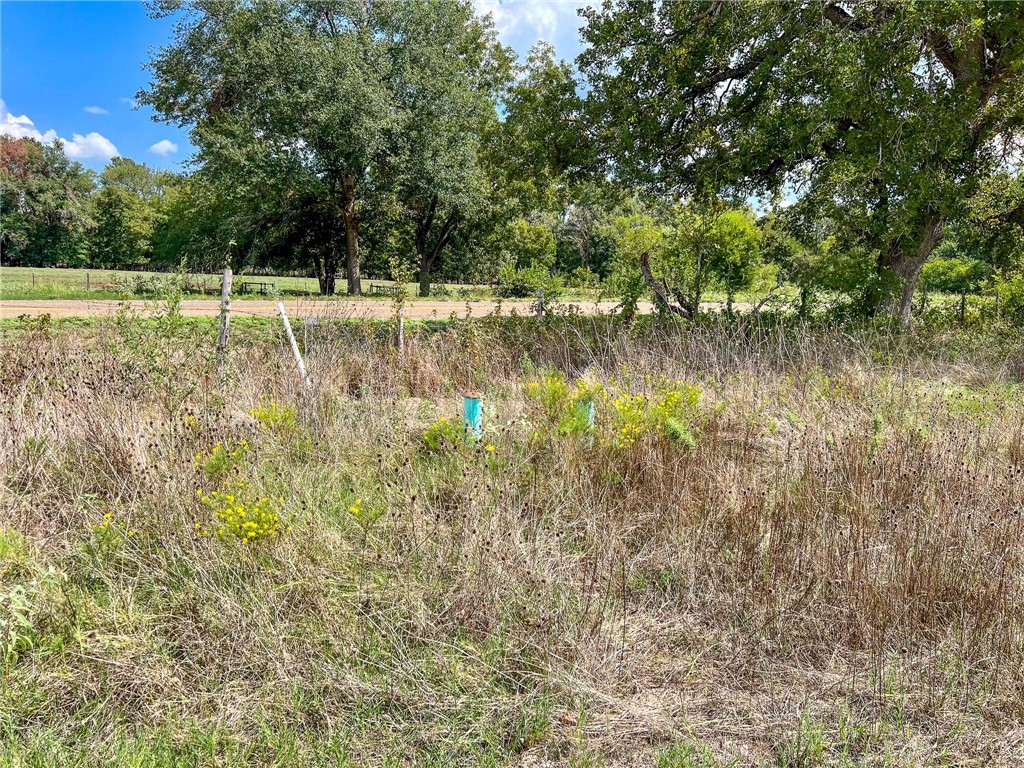 8 Fm 2745 Road Kosse, TX 76653 - Photo 21 of 36 a view of a lake with outdoor space