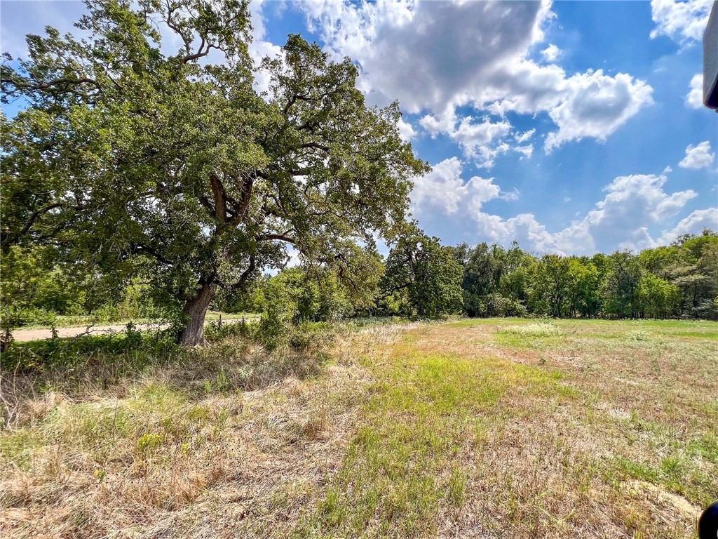 8 Fm 2745 Road Kosse, TX 76653 - Photo 22 of 36 a view of outdoor space with mountain view