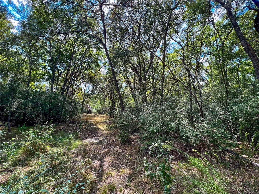 8 Fm 2745 Road Kosse, TX 76653 - Photo 26 of 36 a big yard with lots of green space and house