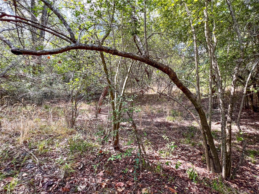 8 Fm 2745 Road Kosse, TX 76653 - Photo 27 of 36 a view of mountain view with tall trees