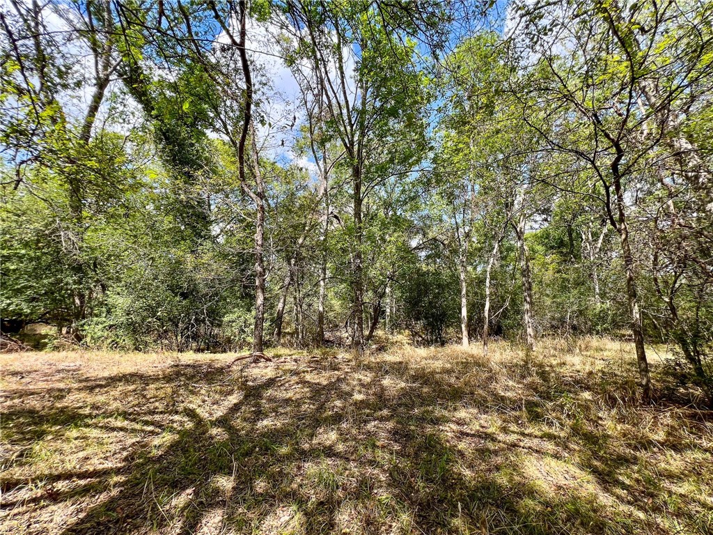 8 Fm 2745 Road Kosse, TX 76653 - Photo 28 of 36 a view of outdoor space and trees