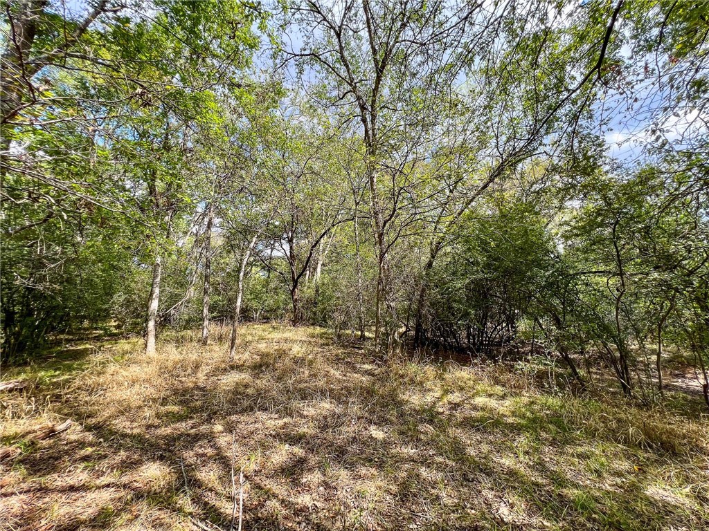8 Fm 2745 Road Kosse, TX 76653 - Photo 29 of 36 a backyard of a house with lots of green space