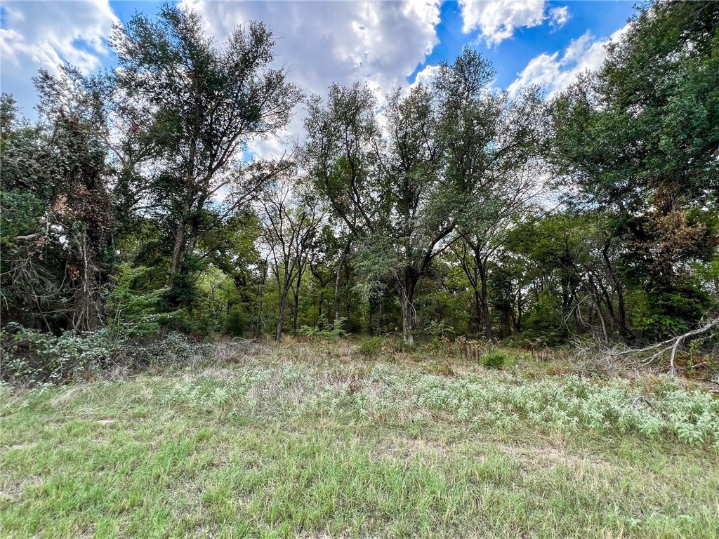8 Fm 2745 Road Kosse, TX 76653 - Photo 33 of 36 a view of outdoor space and trees