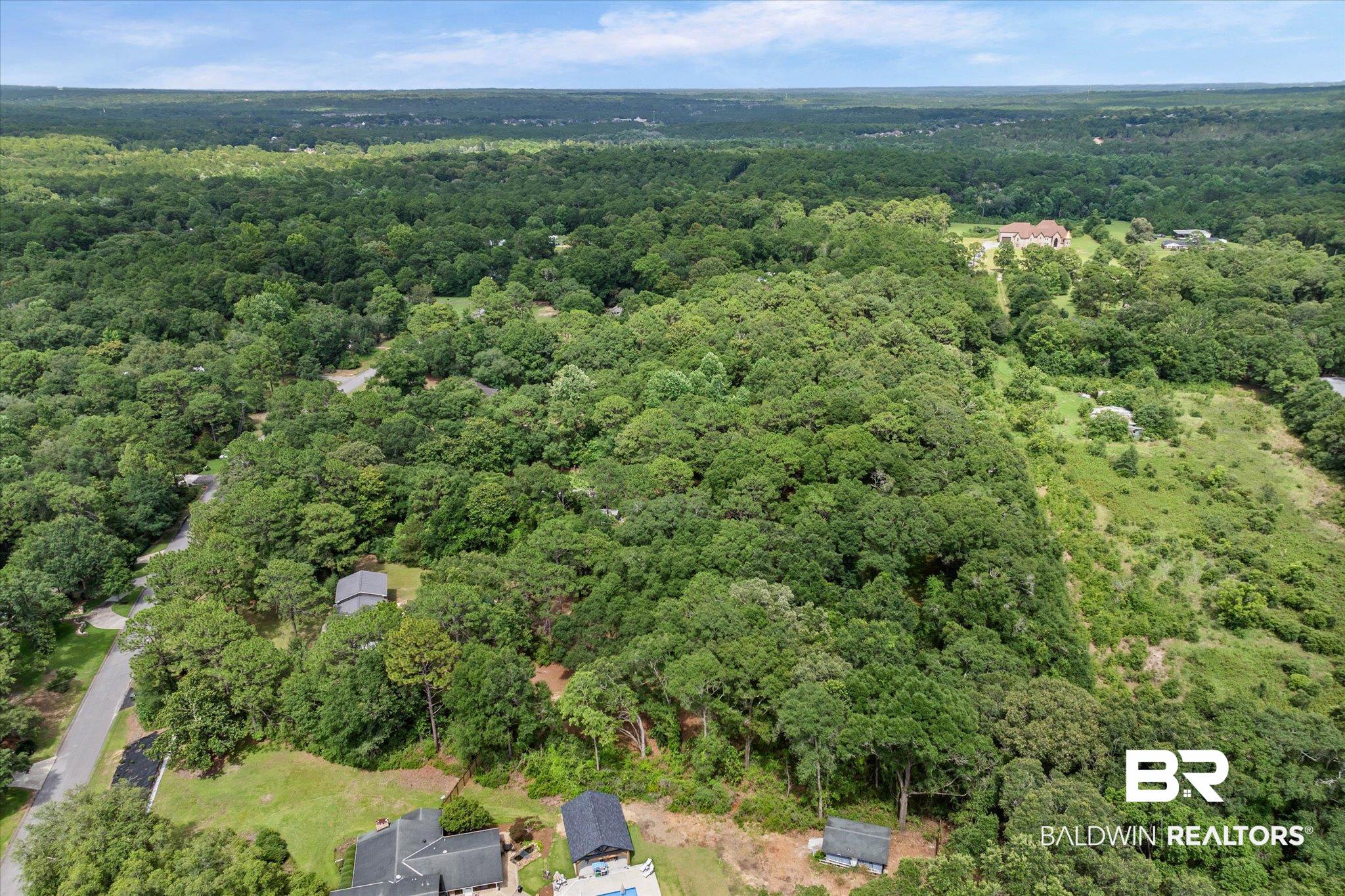8301 Fordham Road Mobile, AL 36619 - Photo 44 of 57 Expansive aerial perspective showcasing a vast, tree-covered landscape with diverse foliage