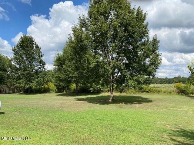 189 Cothern Road Holly Springs, MS 38635 - Photo 23 of 32 thumbnail_IMG_6540