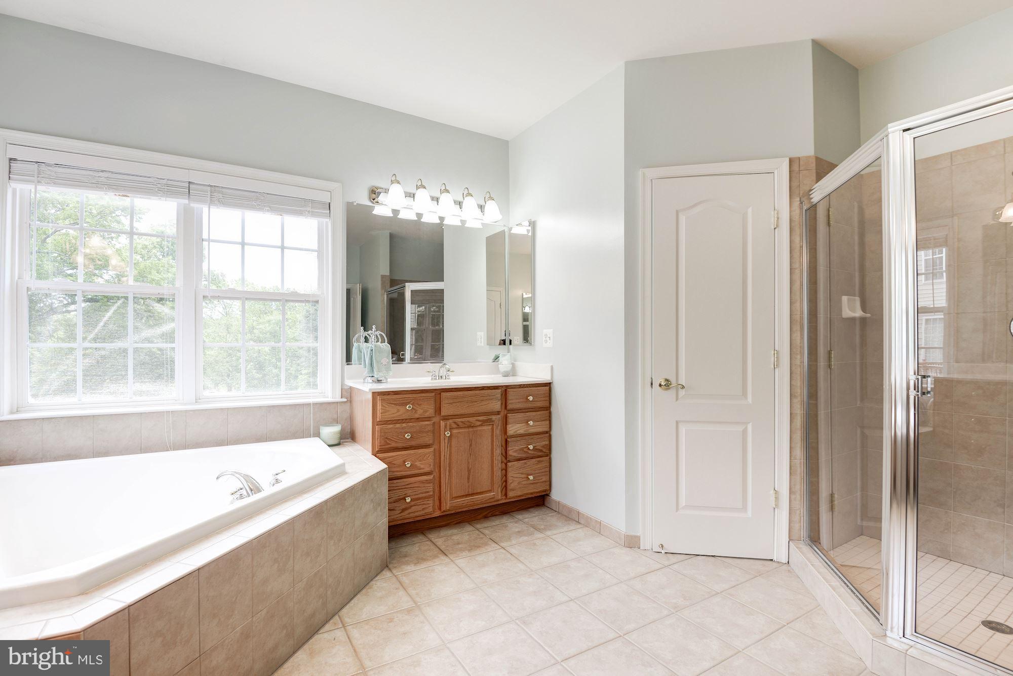 7104 Ayers Meadow Lane Springfield, VA 22150 - Photo 35 of 62 a bathroom with a tub a sink and a large mirror