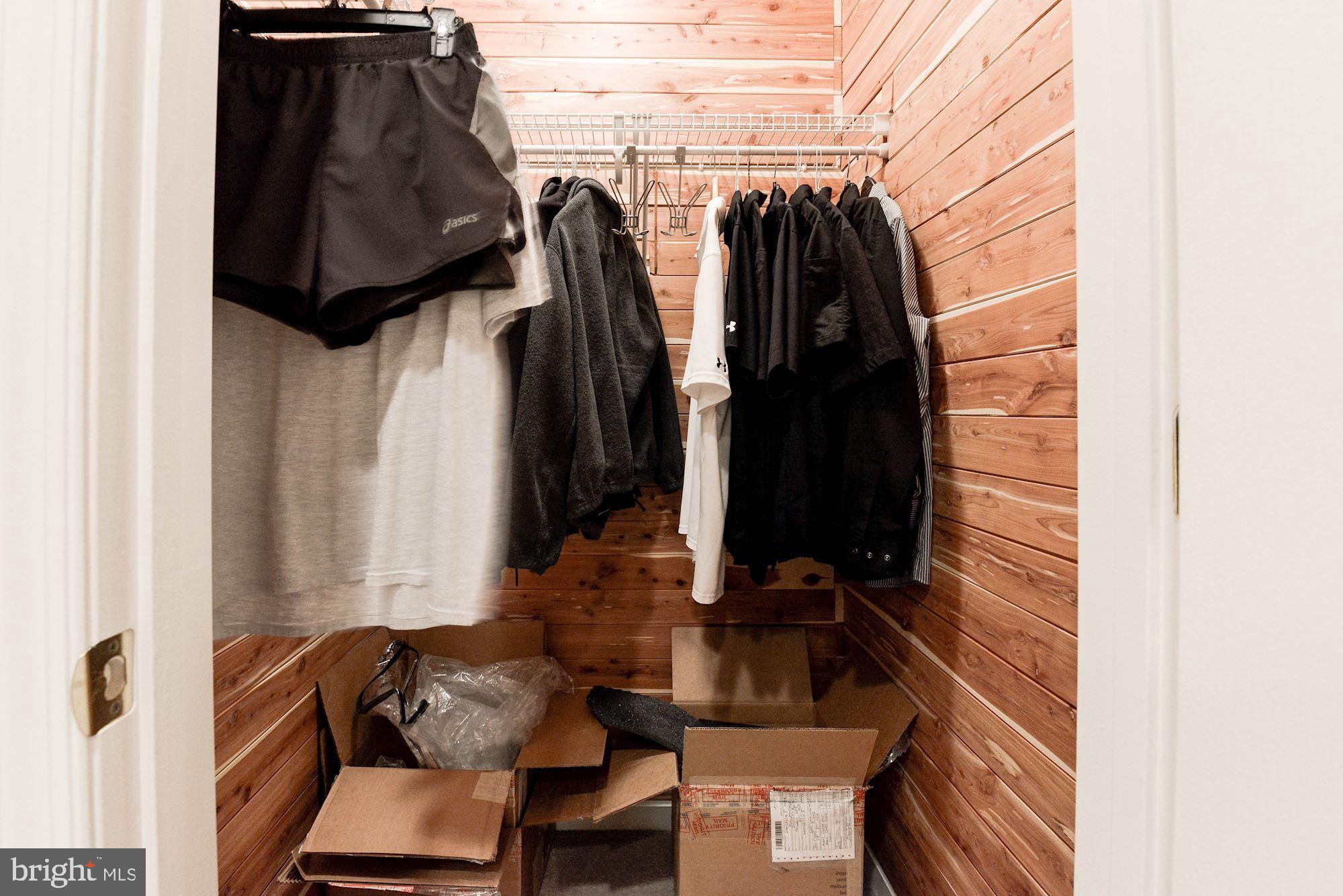 7104 Ayers Meadow Lane Springfield, VA 22150 - Photo 52 of 62 Cedar Closet