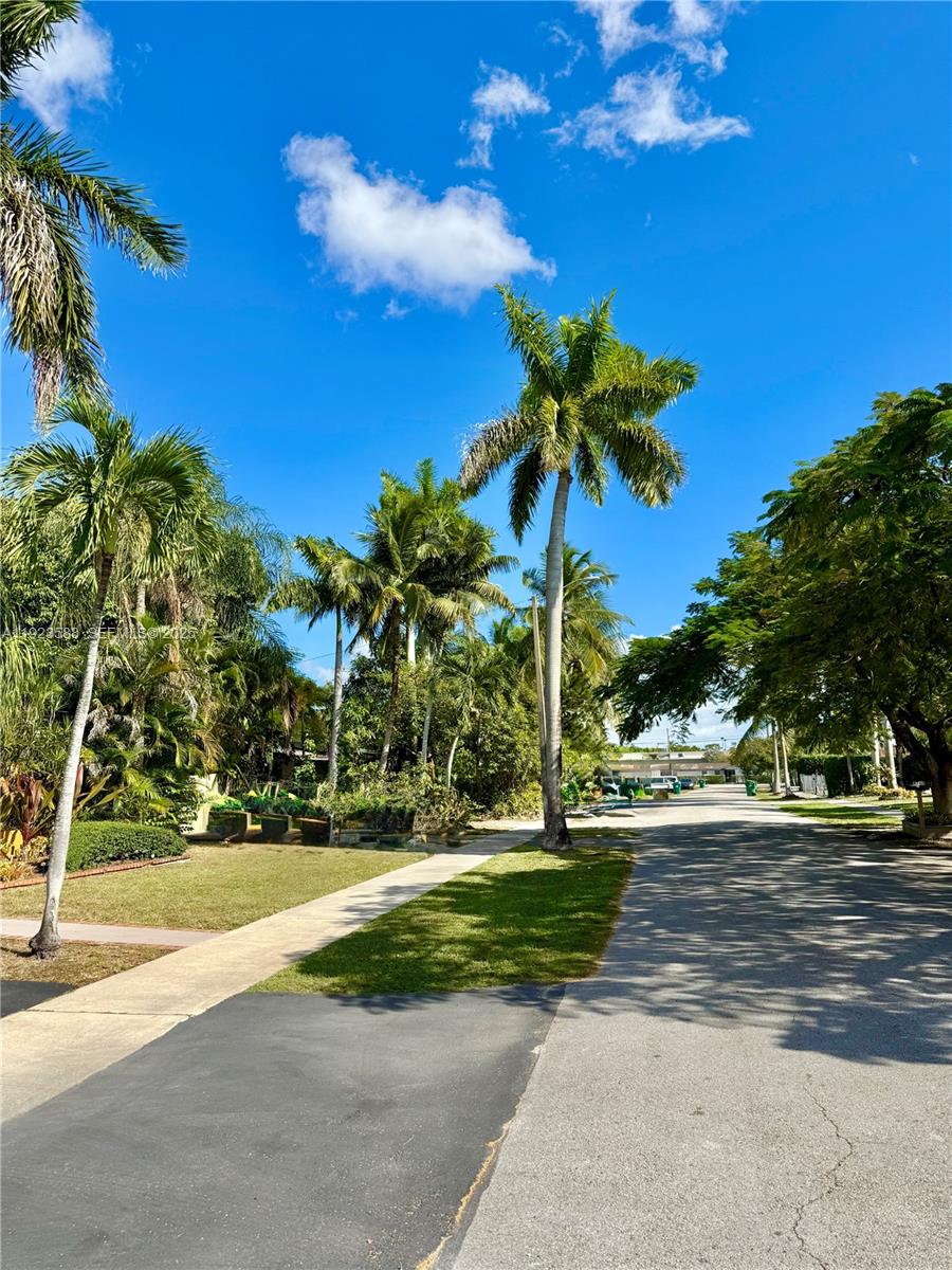 a house view with a garden space