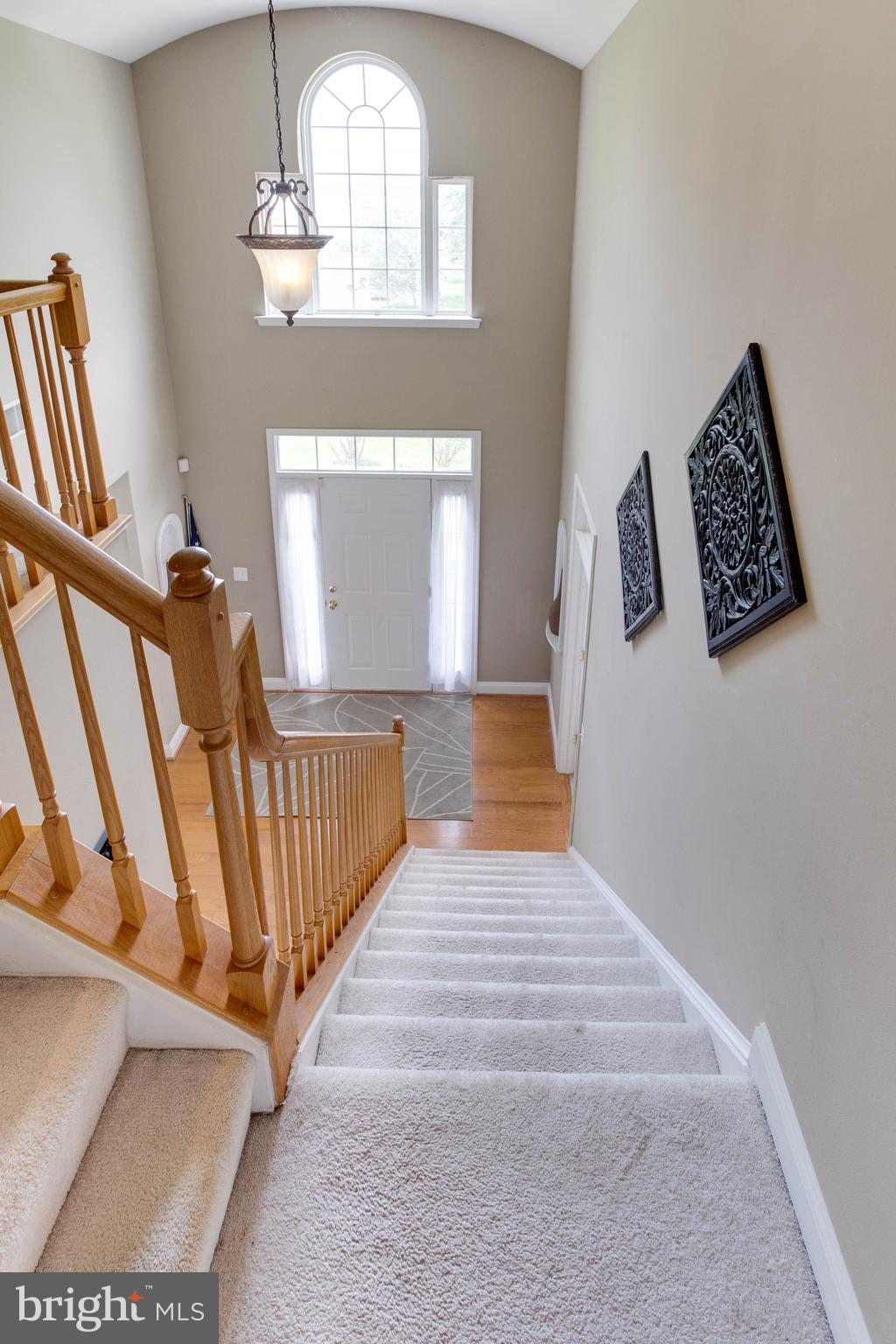 620 Rosier Road Fort Washington, MD 20744 - Photo 24 of 48 Gallery Image 24