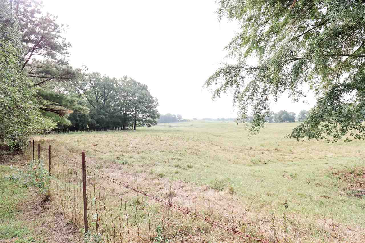252 Becton William Road Ripley, TN 38063 - Photo 17 of 24