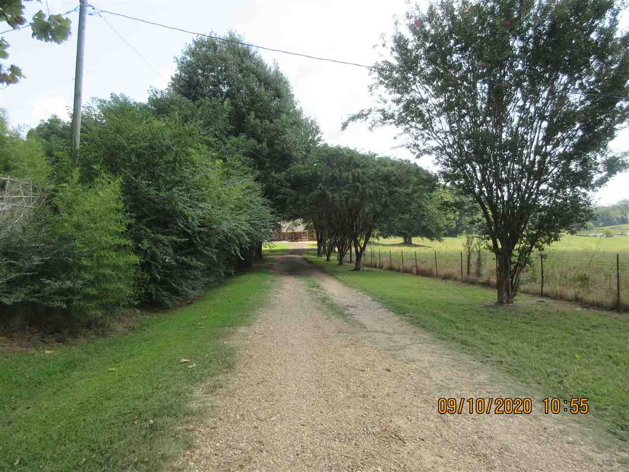 252 Becton William Road Ripley, TN 38063 - Photo 21 of 24