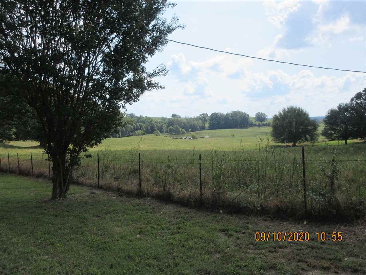 252 Becton William Road Ripley, TN 38063 - Photo 22 of 24