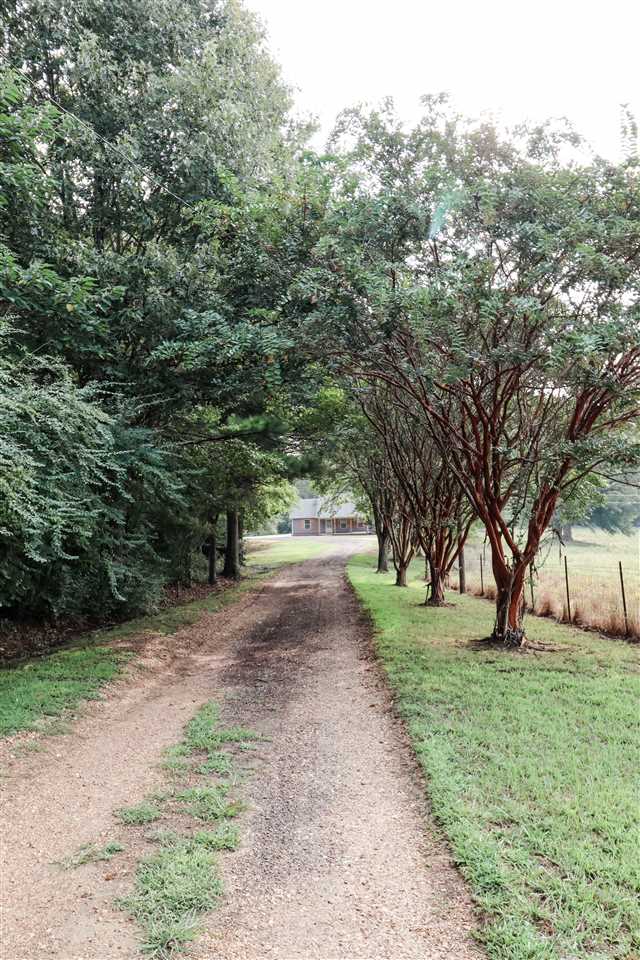 252 Becton William Road Ripley, TN 38063 - Photo 24 of 24