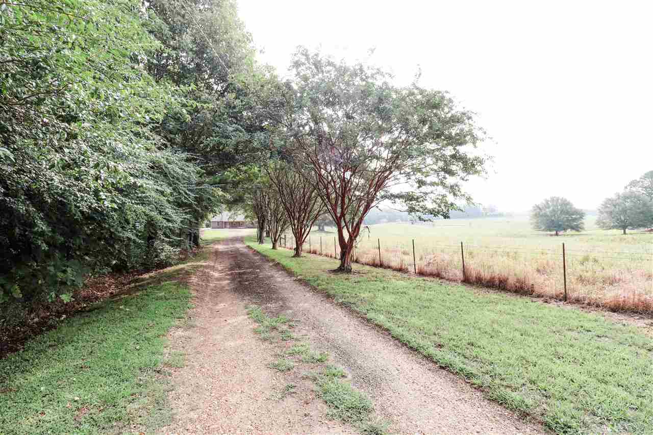 252 Becton William Road Ripley, TN 38063 - Photo 4 of 24