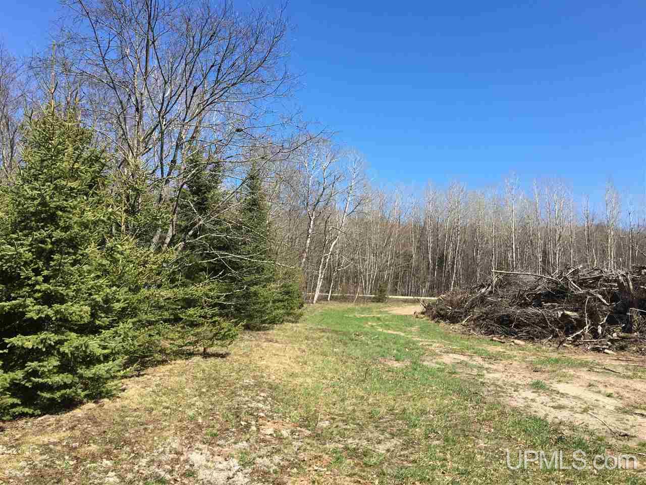 Tbd Chapel Road Munising, MI 49862 - Photo 23 of 36