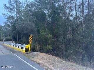 Paige Bayou Road Vancleave, MS 39565 - Photo 2 of 11 IMG_0469