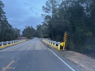 Paige Bayou Road Vancleave, MS 39565 - Photo 3 of 11 IMG_0470