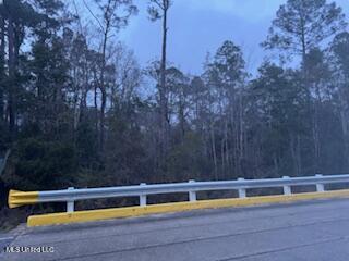 Paige Bayou Road Vancleave, MS 39565 - Photo 5 of 11 IMG_0472